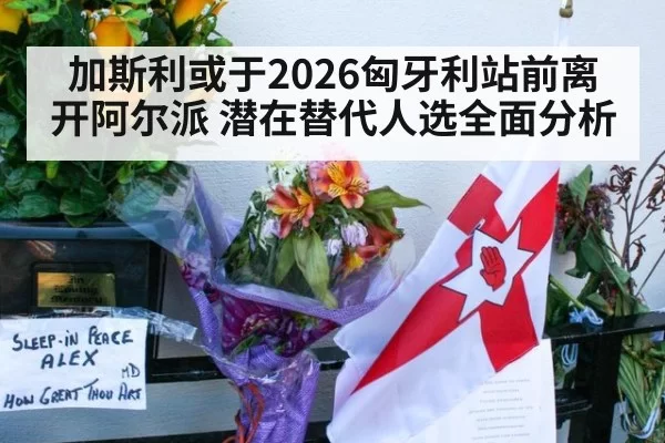 加斯利或于2026匈牙利站前离开阿尔派 潜在替代人选全面分析（jiuyou）