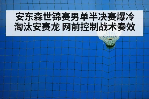 badminton net shot