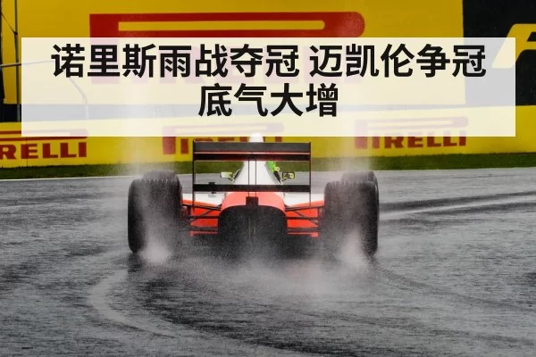 诺里斯雨战夺冠 迈凯伦争冠底气大增（jiuyou）
